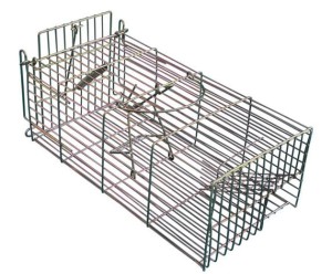 Szczurołapka żywołowna pułapka na szczury 2001