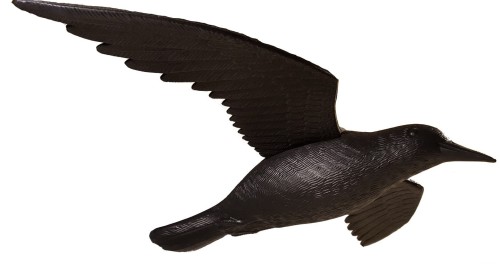 20170129_193720 (2).jpg