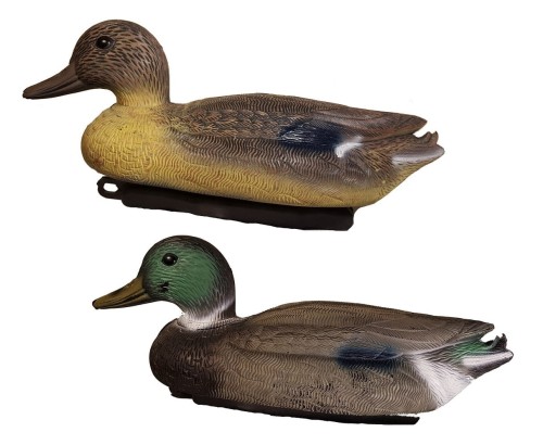 20170124_210353 (2).jpg