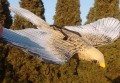 IMG_20161222_103049660.jpg