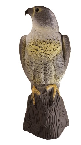 20170121_215127o (2).jpg